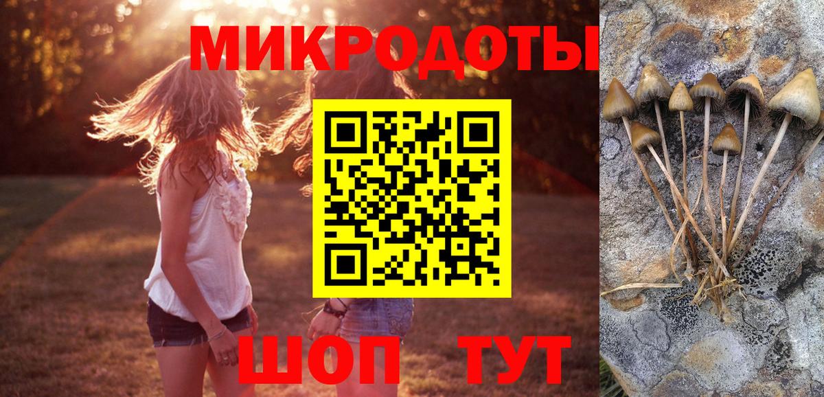 что такое   Вход с VPN  Карпинск  Галлюциногенные грибы ЛСД 