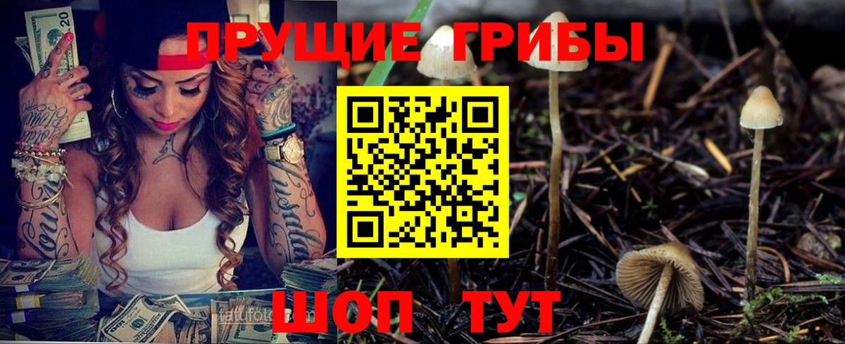 Галлюциногенные грибы GOLDEN TEACHER Карпинск