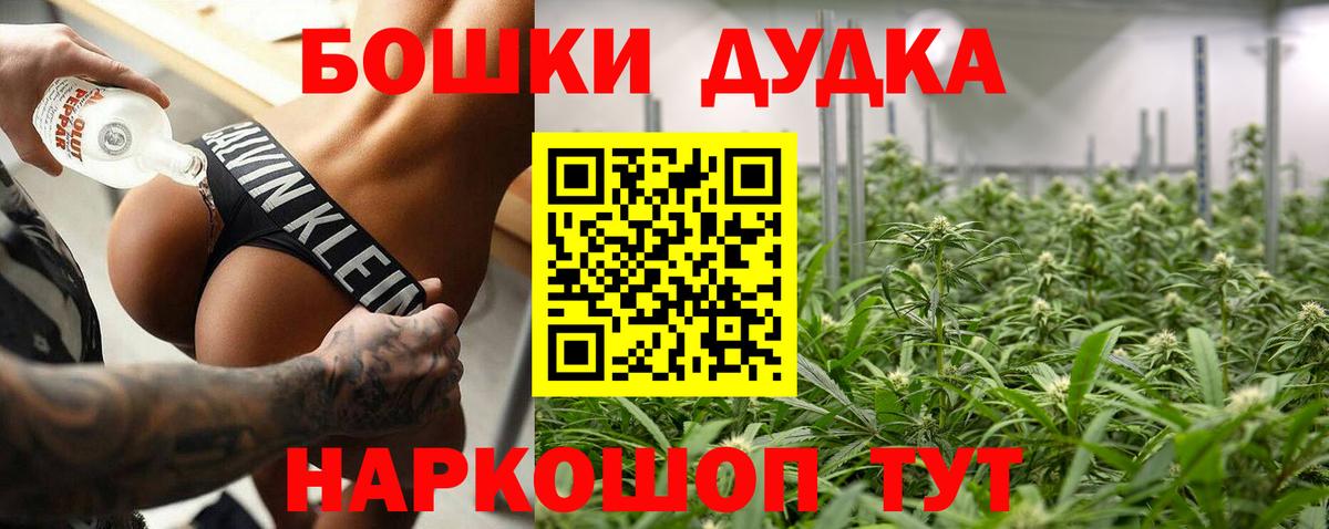 Каннабис планчик  Вход с VPN  Марихуана сатива  Карпинск  Марихуана ГИДРОПОН 
